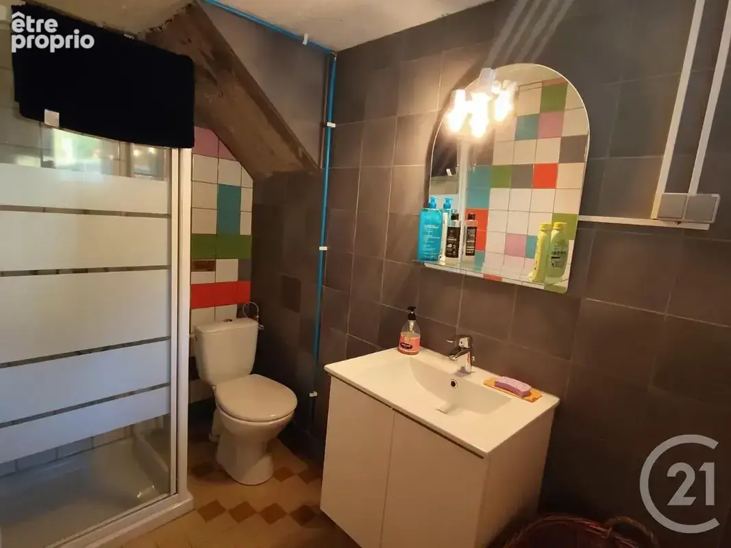 Maison 13 pièces 328 m² à vendre à Bazoches (58190) - photo 33