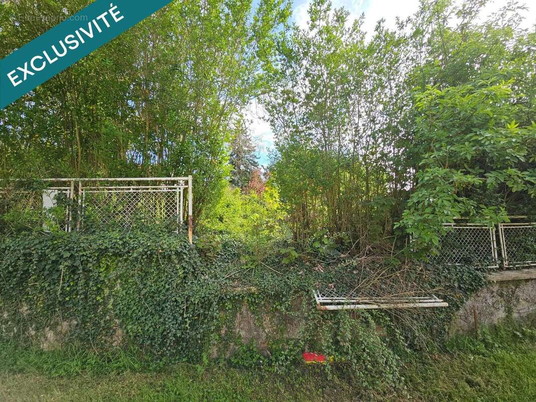 Photo 7 - Terrain à VILLIERS-SAINT-GEORGES