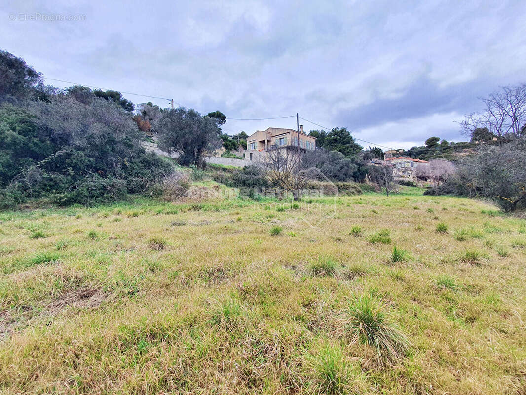 Terrain à SAINT-CHAMAS