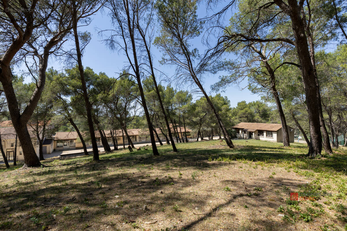 Terrain à FONTVIEILLE