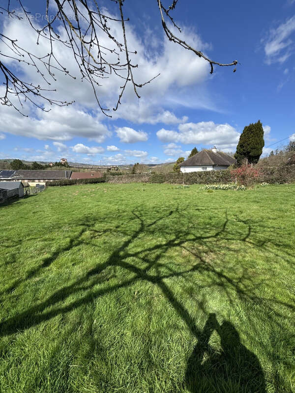 Terrain à SAINT-REMY