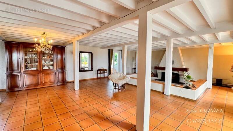 Dpt Tarn (81), à vendre Puylaurens maison P7 de 320 m² - Terrain de 3000 m² - photo 8