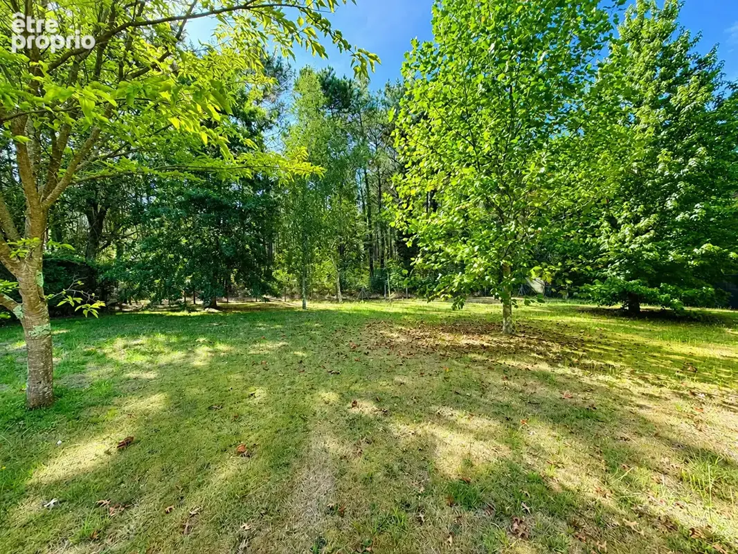 Maison 3 chambres - Quartier Mora - 2 200m2 de jardin - photo 5