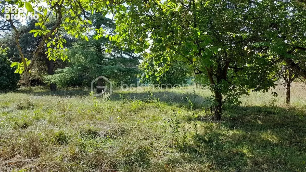 Terrain Constructible - photo 2