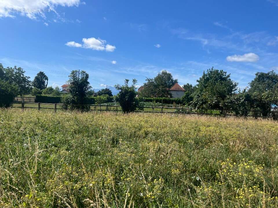 Terrain à BORDERES-SUR-L'ECHEZ
