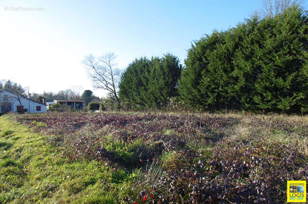 Terrain à OEYREGAVE