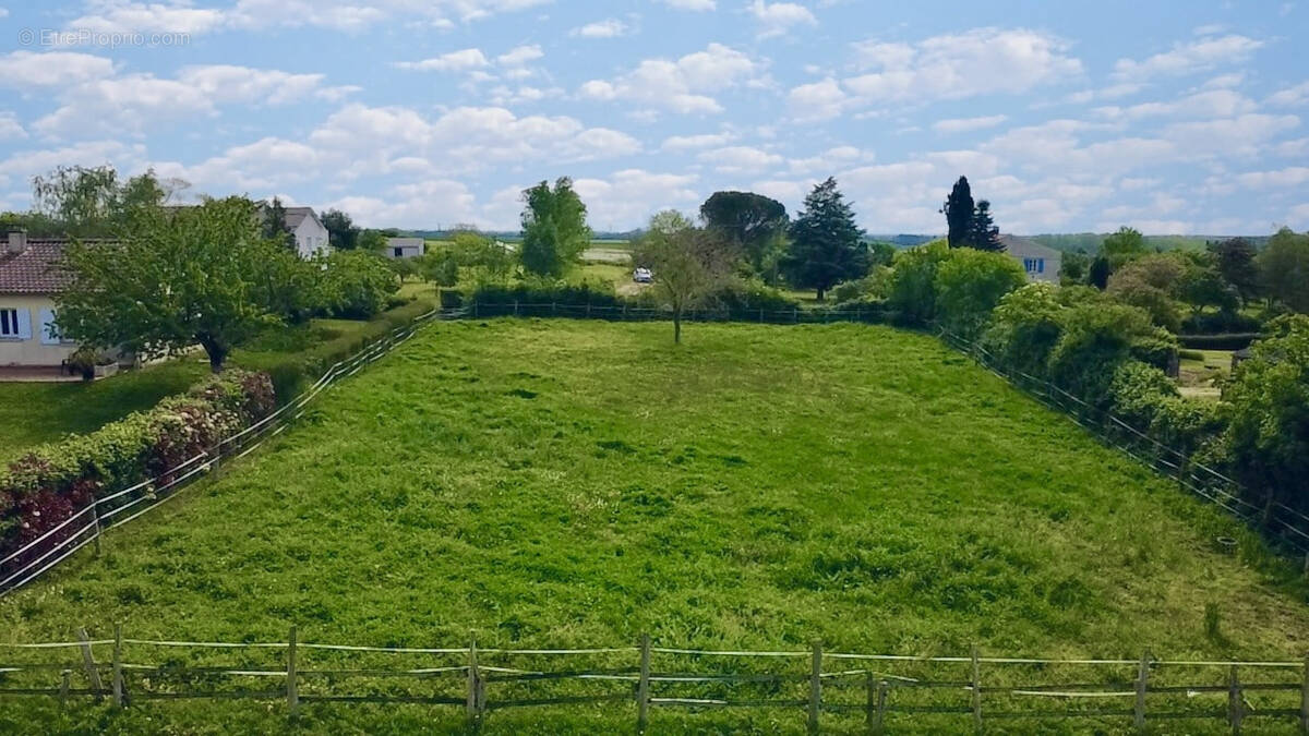 Terrain à COULON