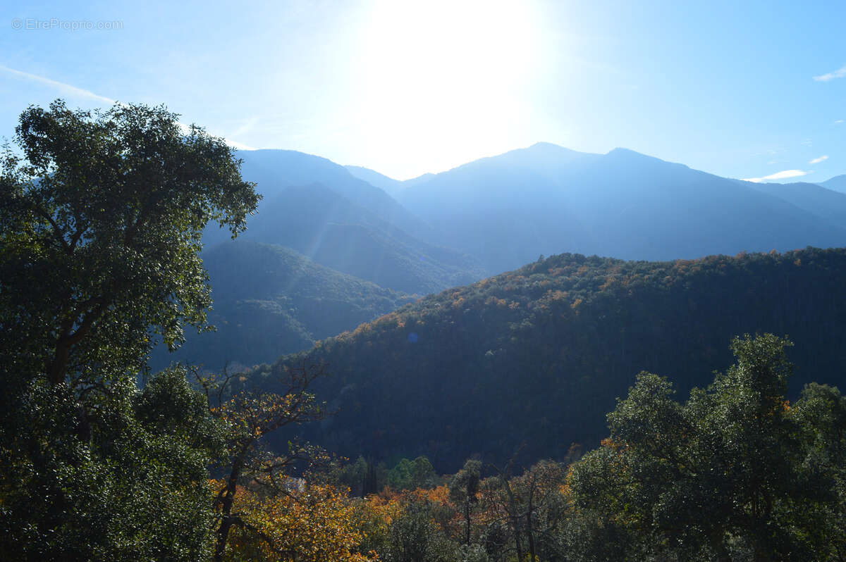Terrain à ARLES-SUR-TECH