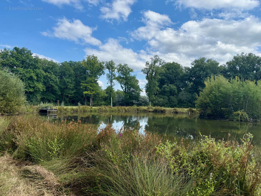Terrain à MONTIGNE-LES-RAIRIES