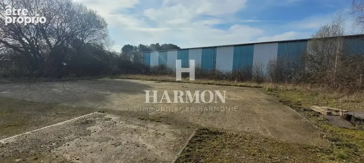 Harmon à vendre :  hangar, zone artisanale de Tartas. - photo 9