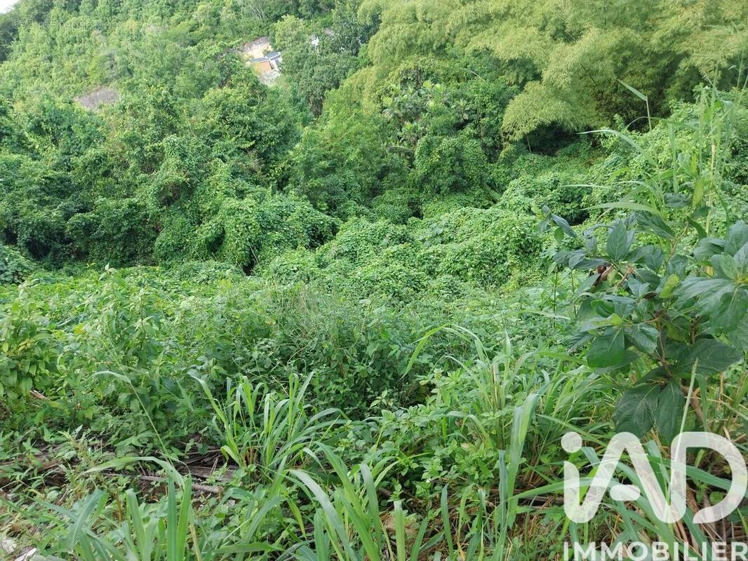 Photo 1 - Terrain à LE GOSIER