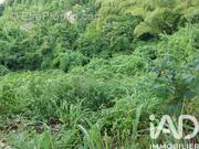 Photo 1 - Terrain à LE GOSIER