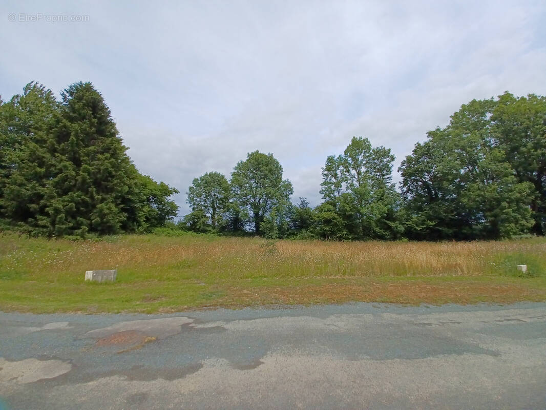 Terrain à SAINT-PAUL-EN-GATINE