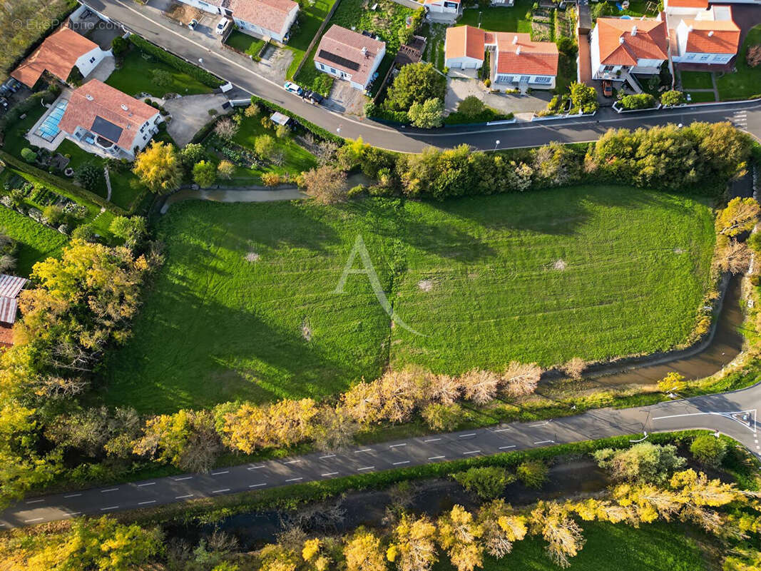 Terrain à LE PERRIER