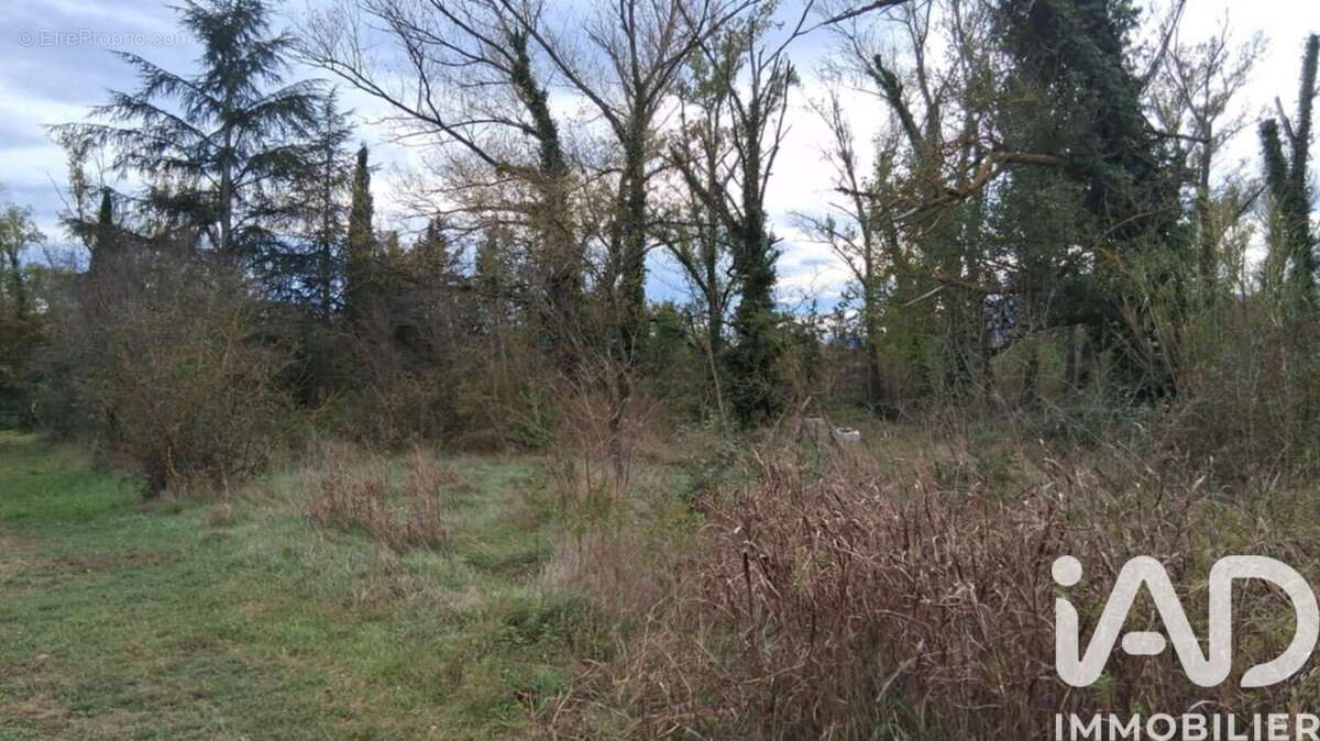 Photo 4 - Terrain à SAINT-JEAN-PLA-DE-CORTS