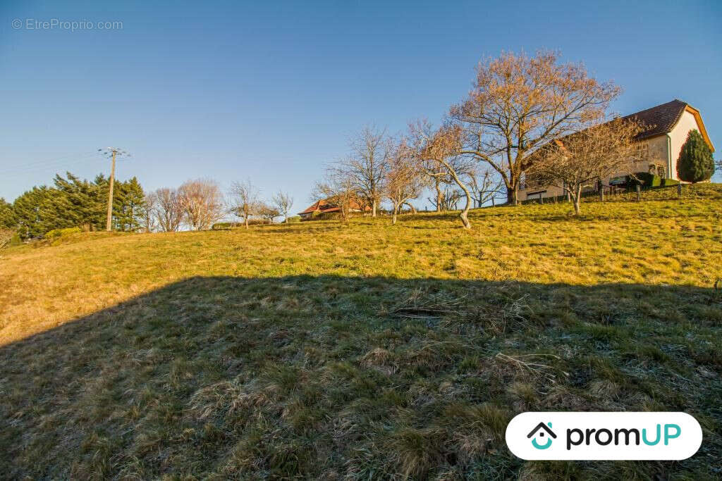 Terrain à SAINTE-FORTUNADE