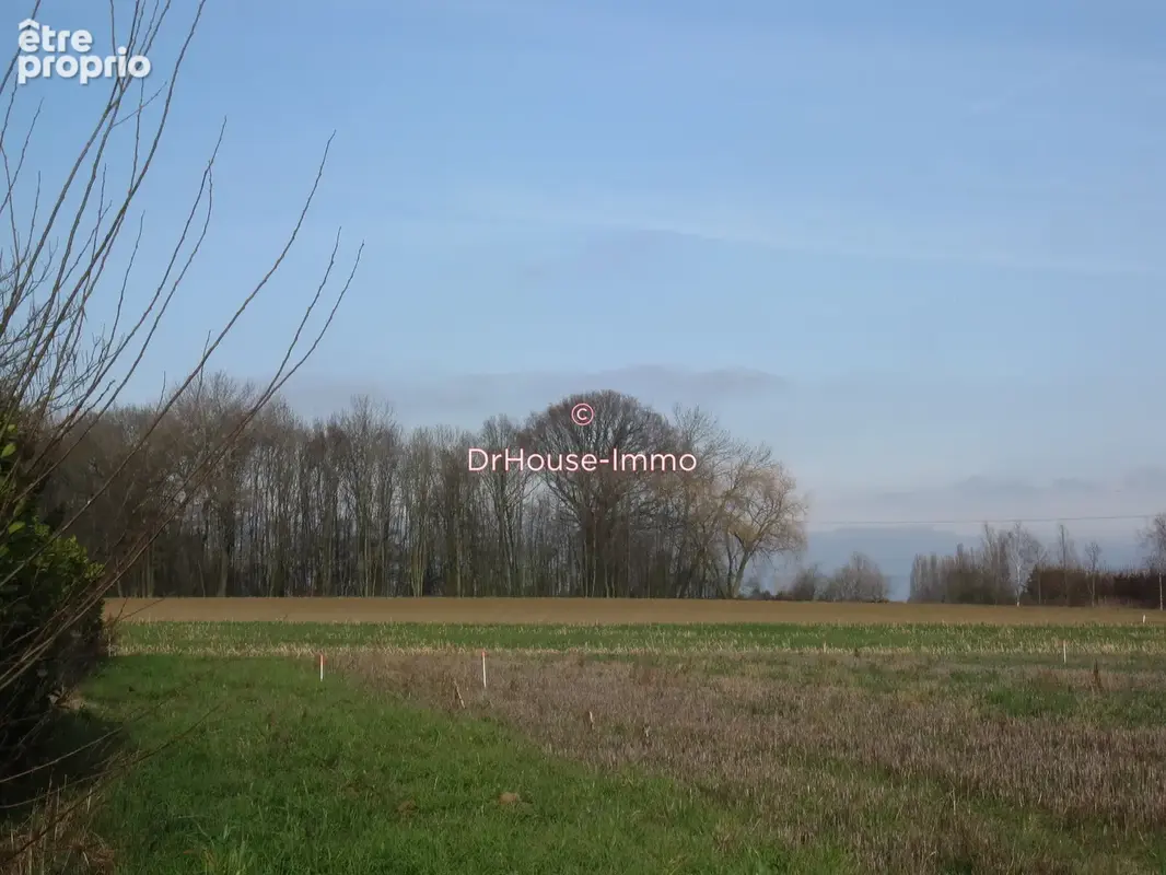Terrain 1 950 m² à vendre à Bersee (59235) - photo 5
