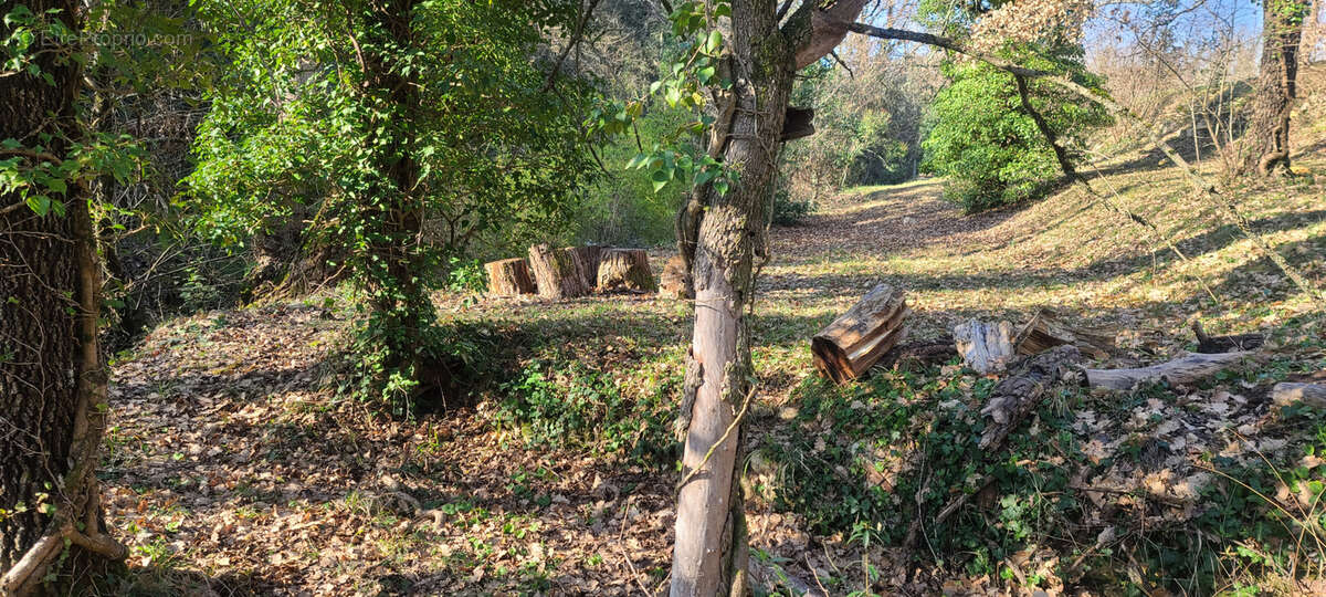 Maison à SAINT-AMBROIX
