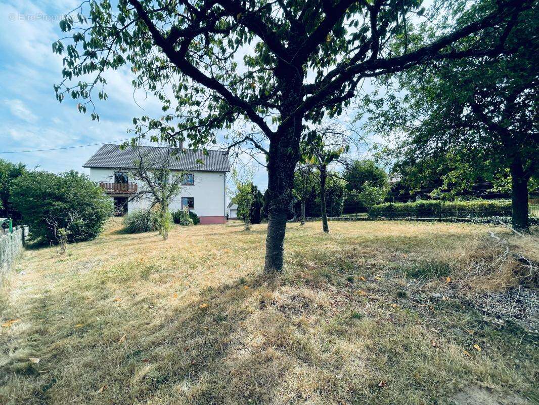 Maison À Vendre à HAGUENAU - photo 39