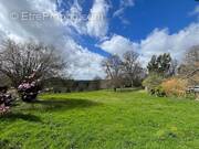 Terrain à LA CROISILLE-SUR-BRIANCE