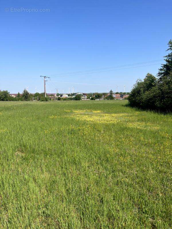 Terrain constructible pour partie, 7090 m2 - photo 4