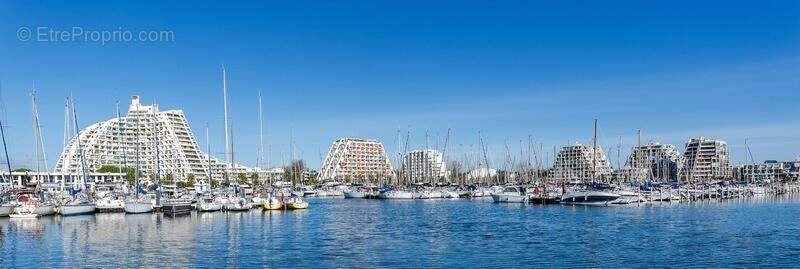 Commerce à LA GRANDE-MOTTE