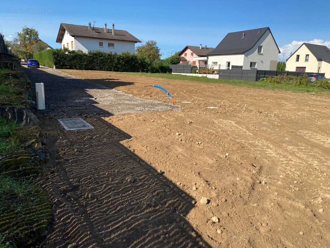 Terrain à SPECHBACH-LE-BAS