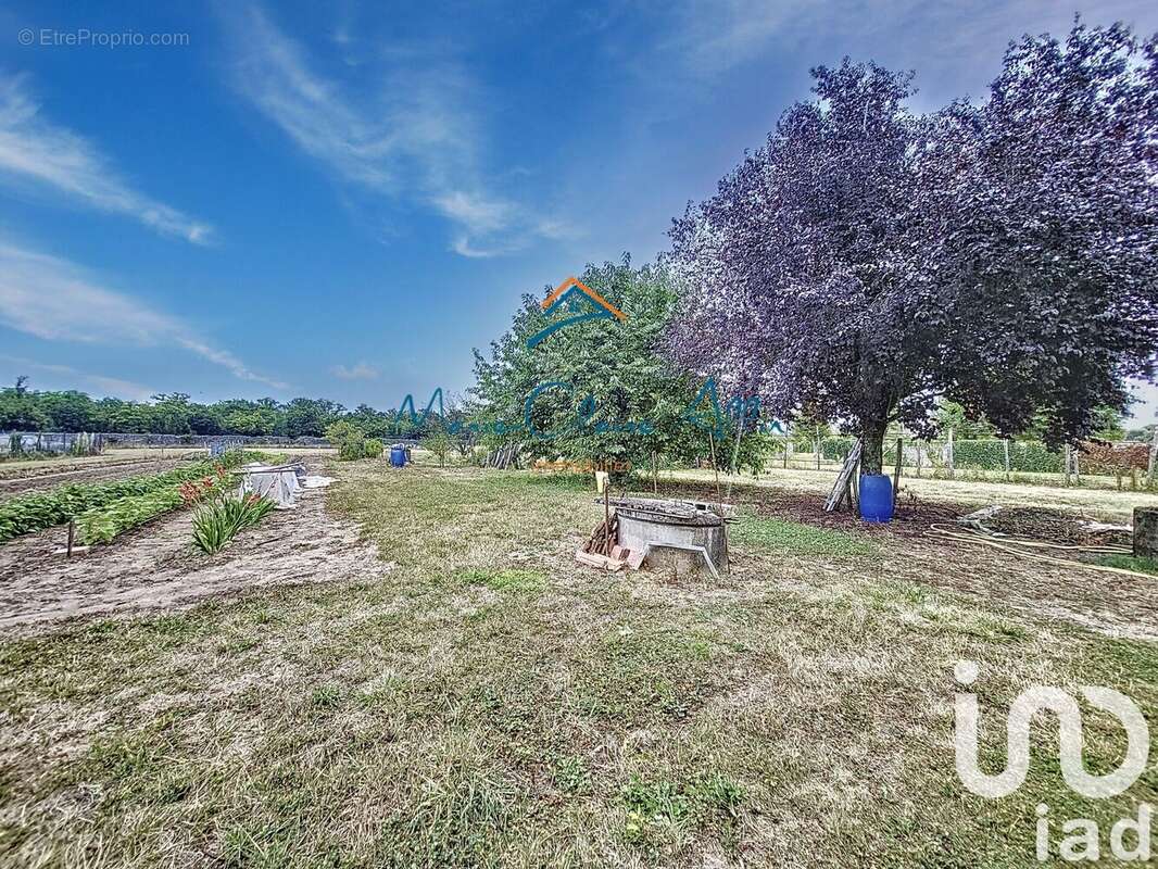 Photo 7 - Maison à HUISSEAU-SUR-COSSON