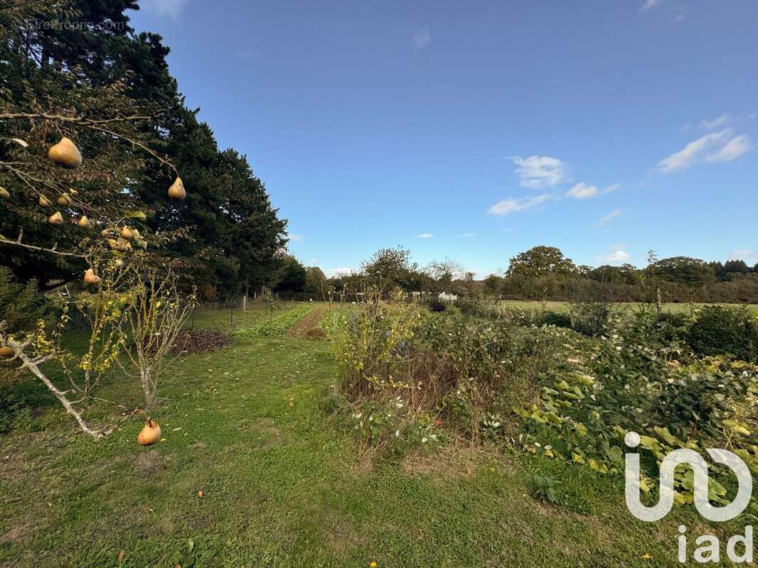 Photo 5 - Maison à LONGNY-AU-PERCHE