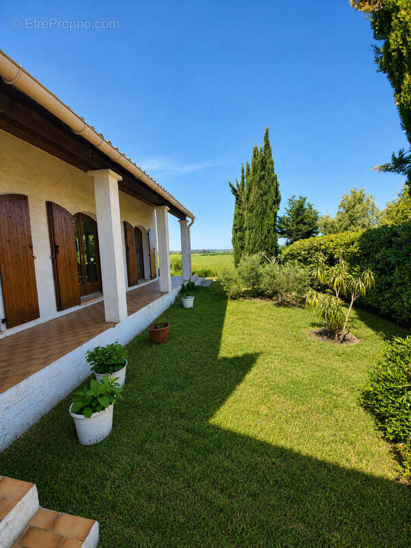 Maison à CALVISSON