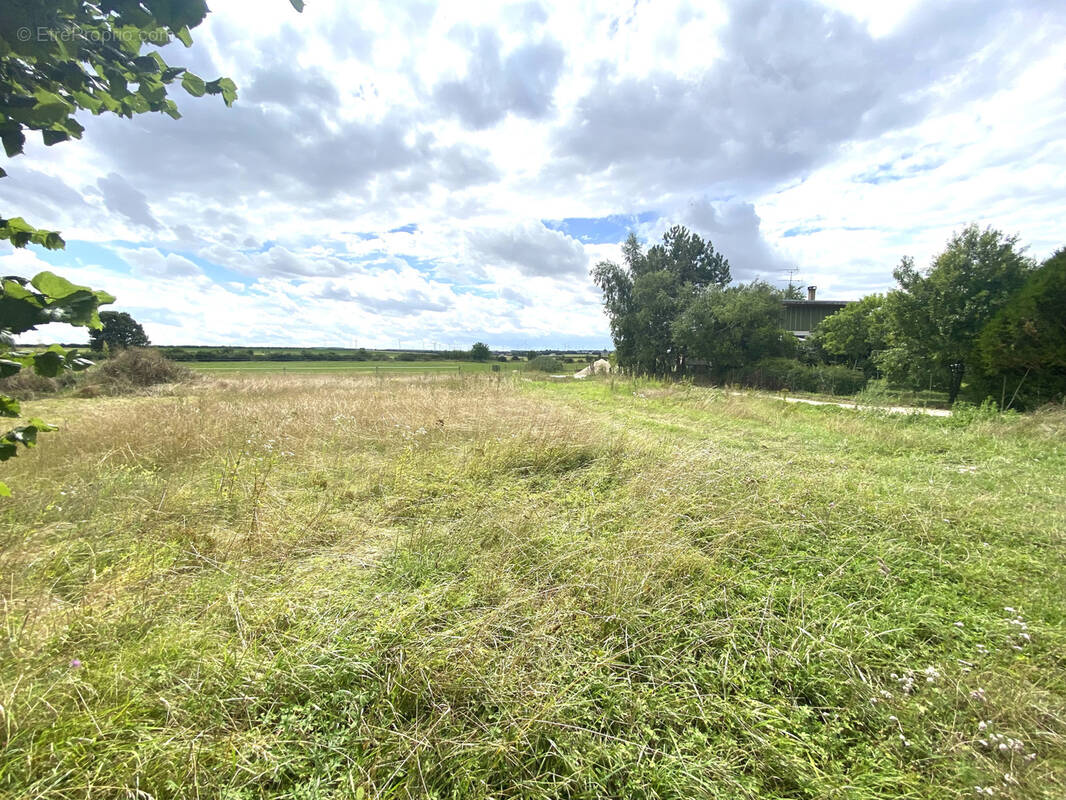 Terrain à AUBETERRE