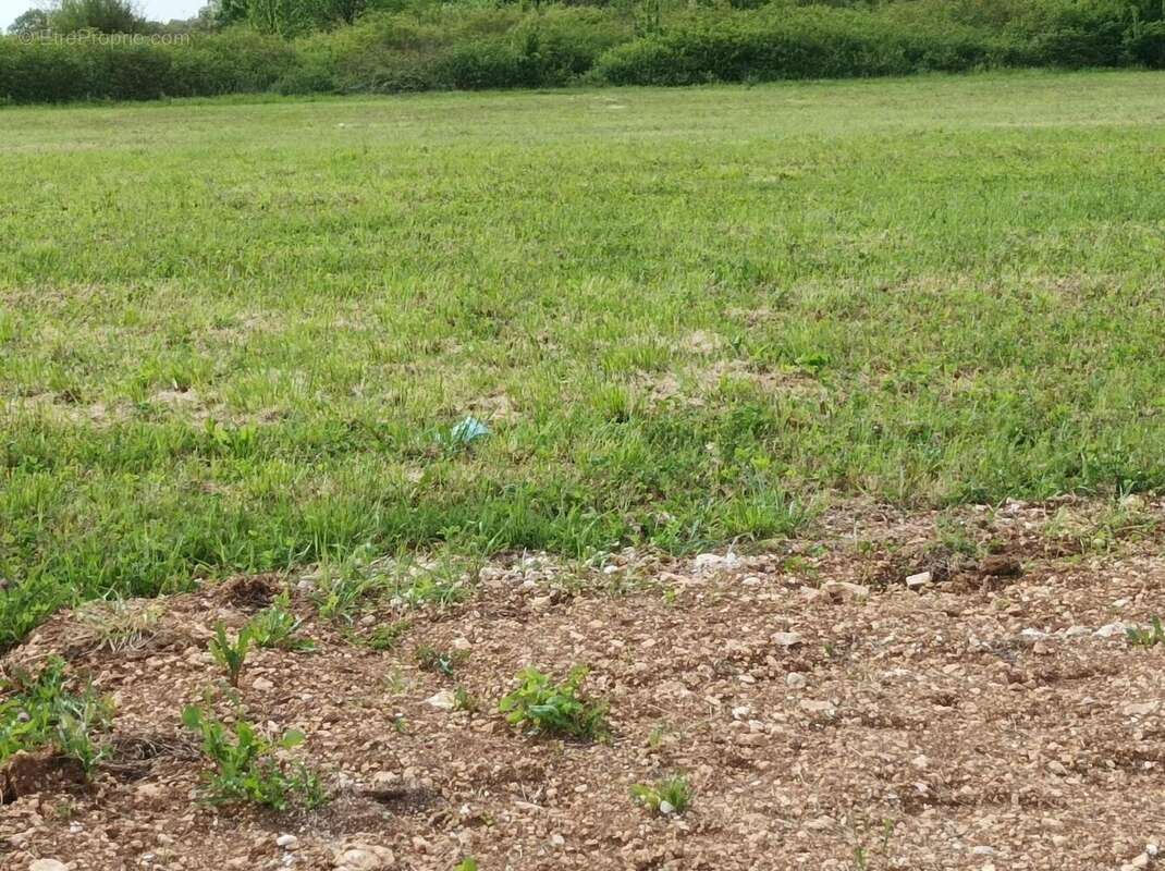 Terrain à SAINT-SATURNIN