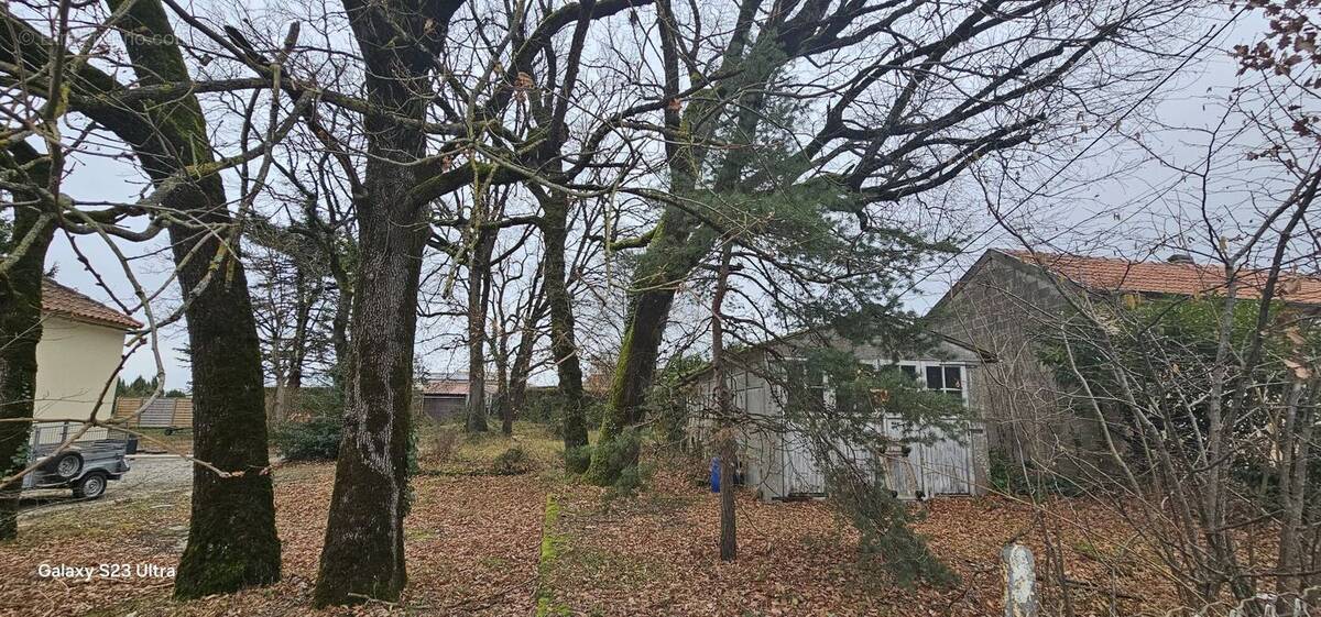 Terrain à VOEUIL-ET-GIGET