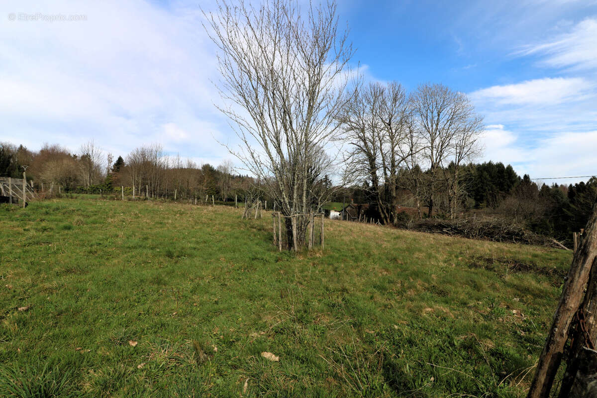 Joli ensemble immobilier à la campagne, 4 ou 5 logis, idéal résidence secondaire d'amis ! - photo 29