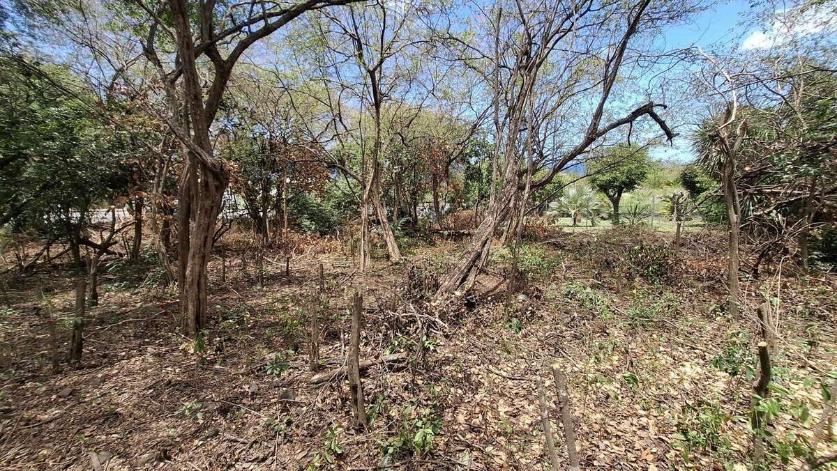 Terrain à BOUILLANTE