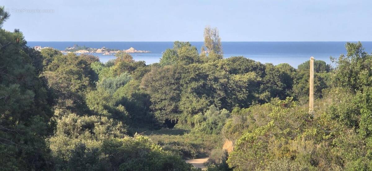 Appartement à PIETROSELLA