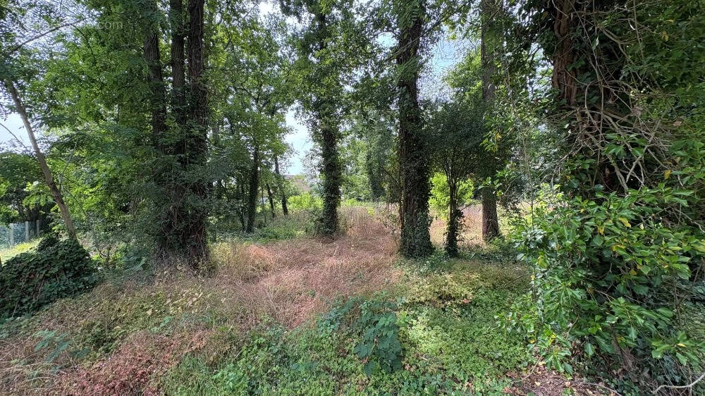 Terrain à GOUVIEUX