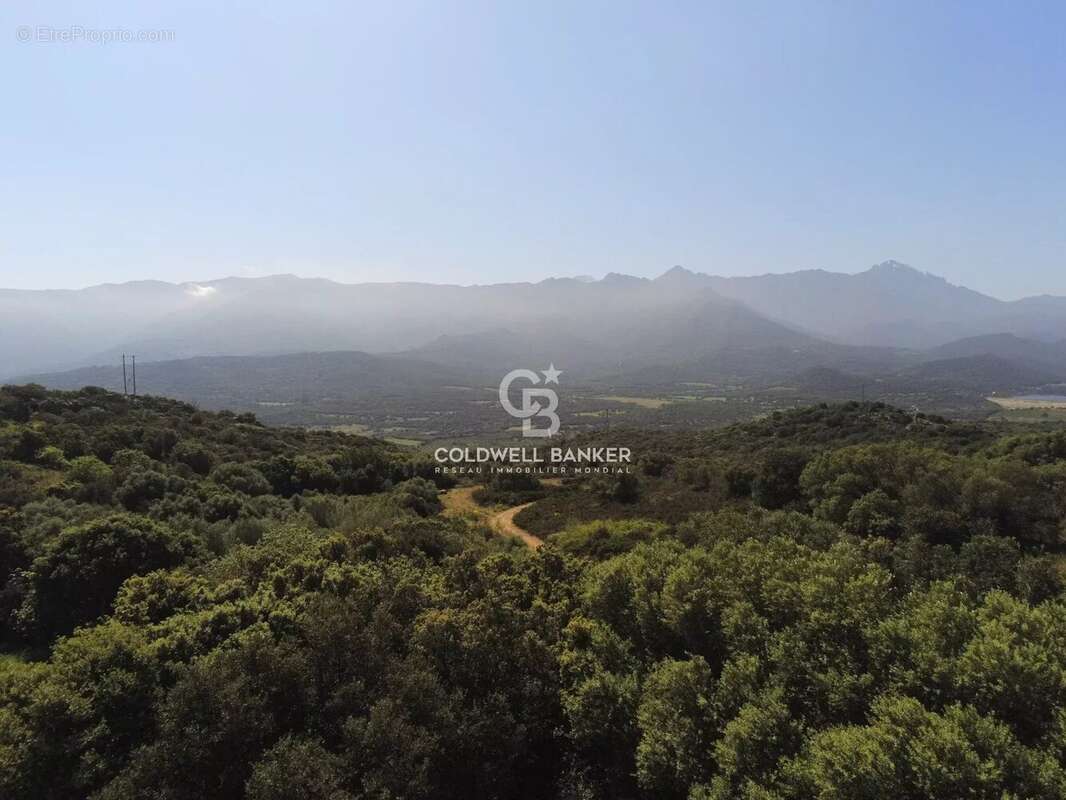 Maison à MONTICELLO