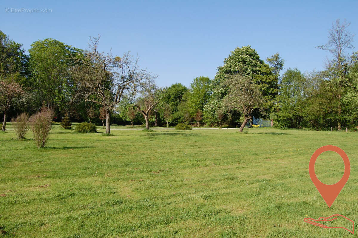 320 m² à Deauville  - photo 6