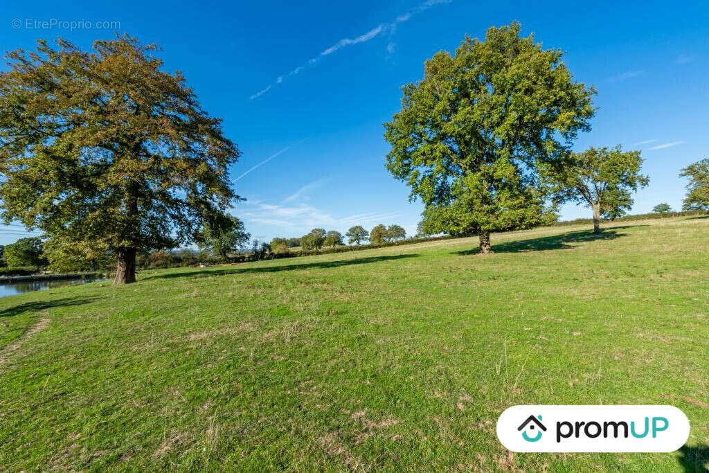 Terrain à SAINT-LAURENT-D'ANDENAY