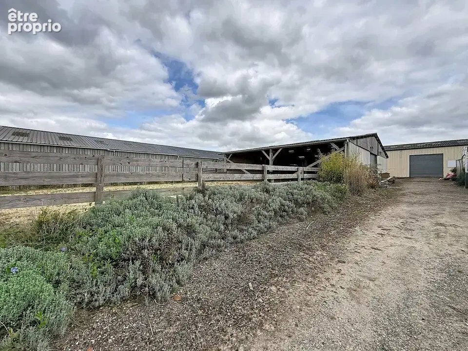 1056 m² à Franqueville-Saint-Pierre  - photo 4