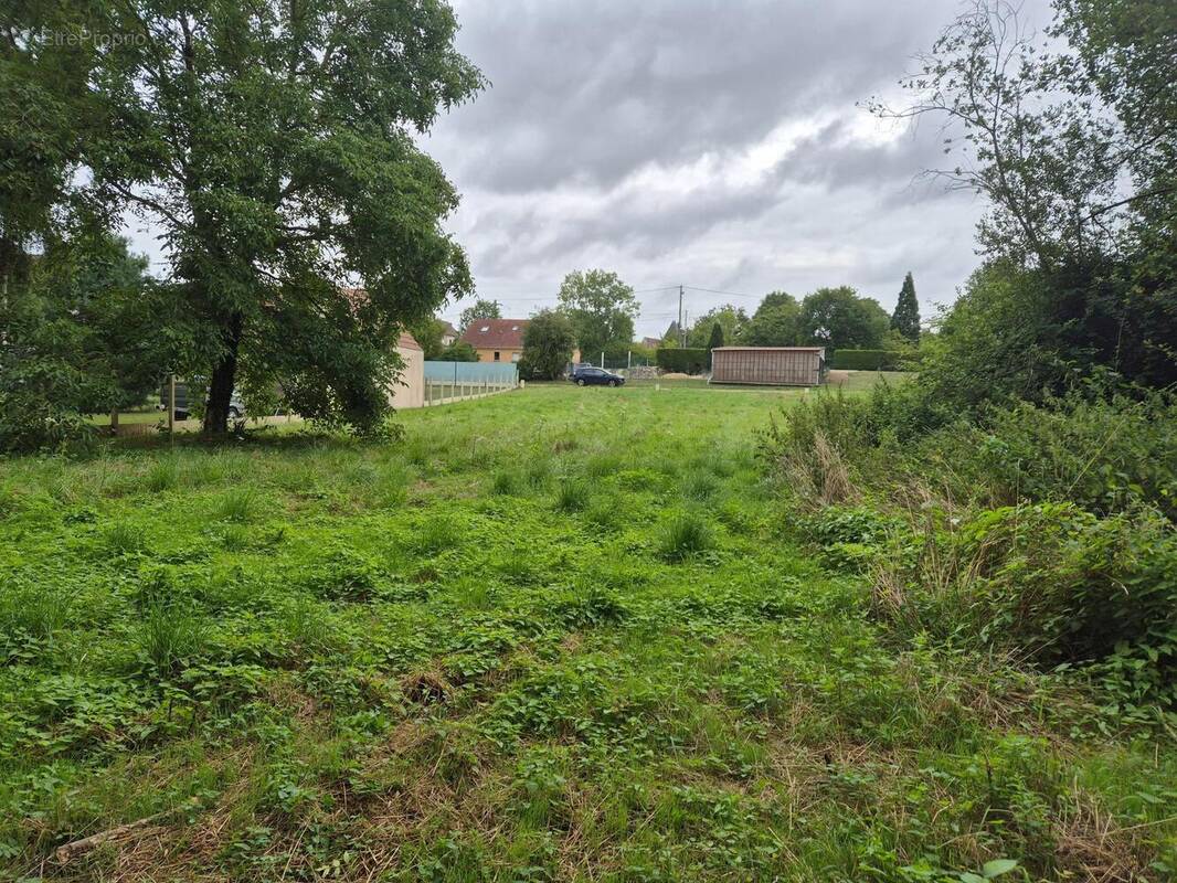 Photo 1 - Terrain à BUEIL