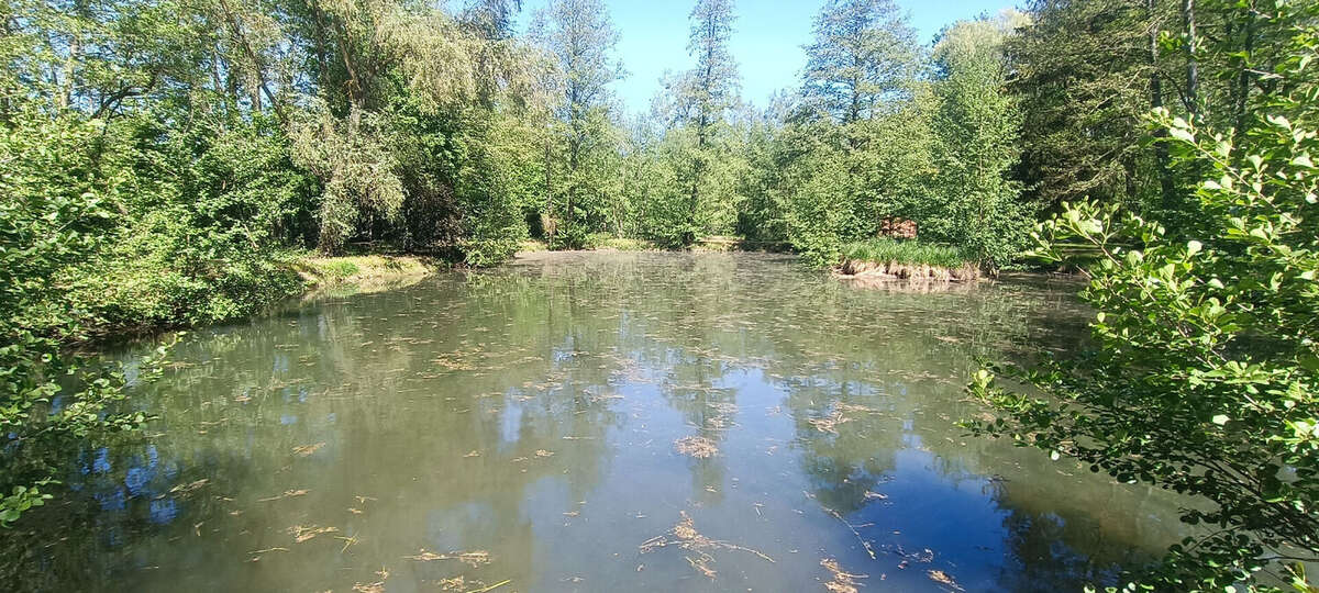 Terrain à LA FERTE-CHEVRESIS