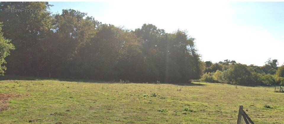 Terrain à LES DAMPS