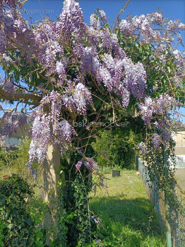 Maison à CHATEAU-RENAULT