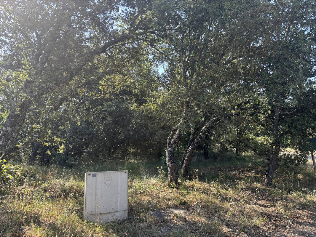 Terrain à SAINT-MARTIN