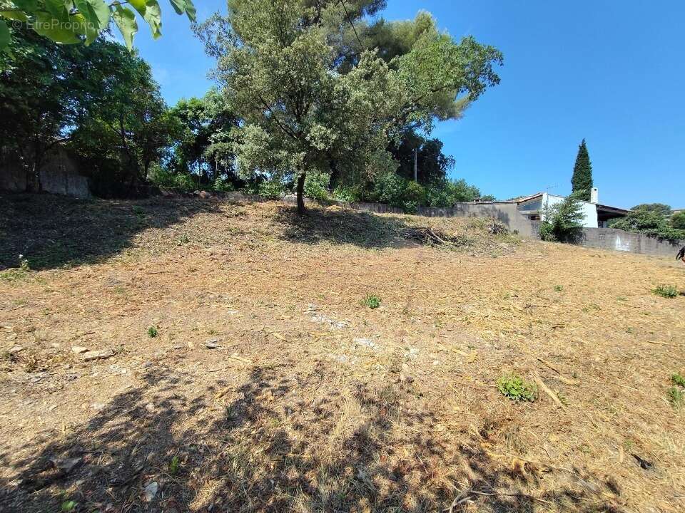 Terrain à DRAGUIGNAN