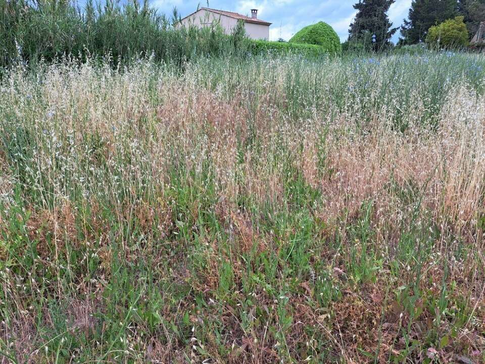 Terrain 305 m² à Lambesc  - photo 3