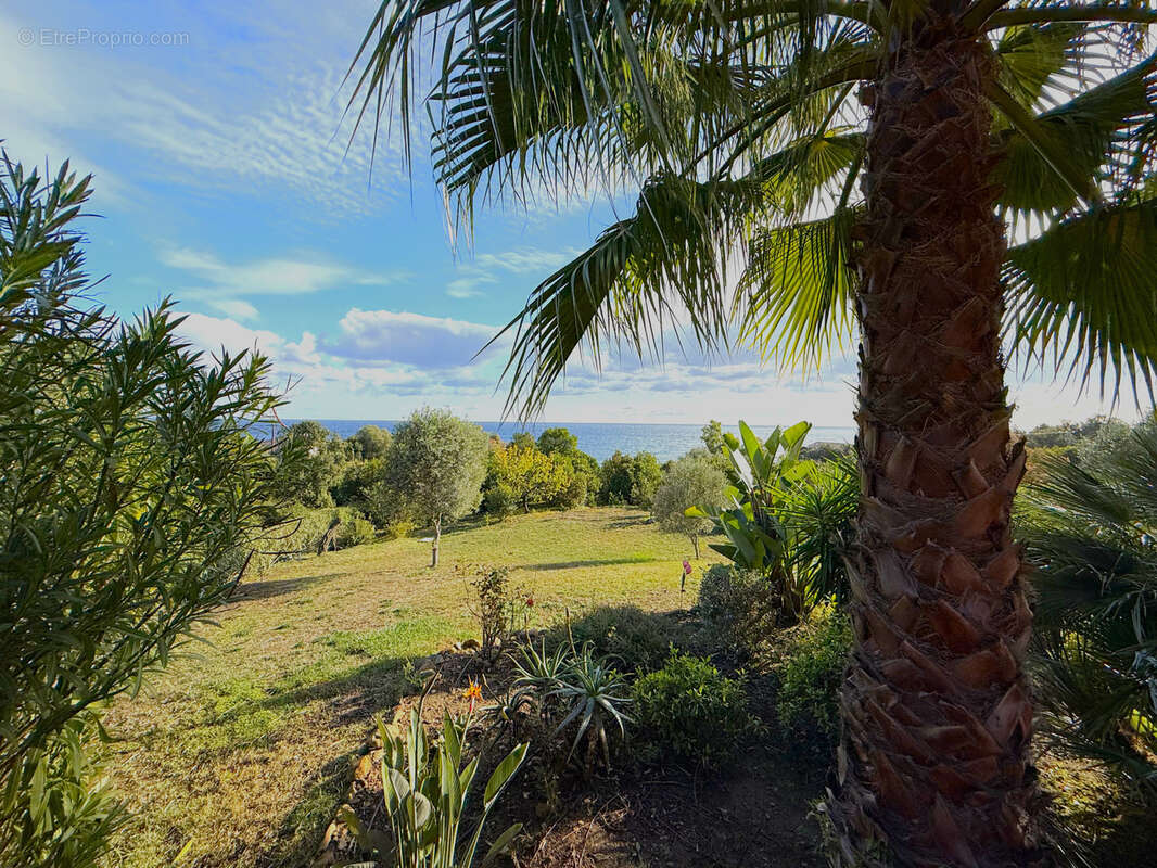 Maison à SARI-SOLENZARA