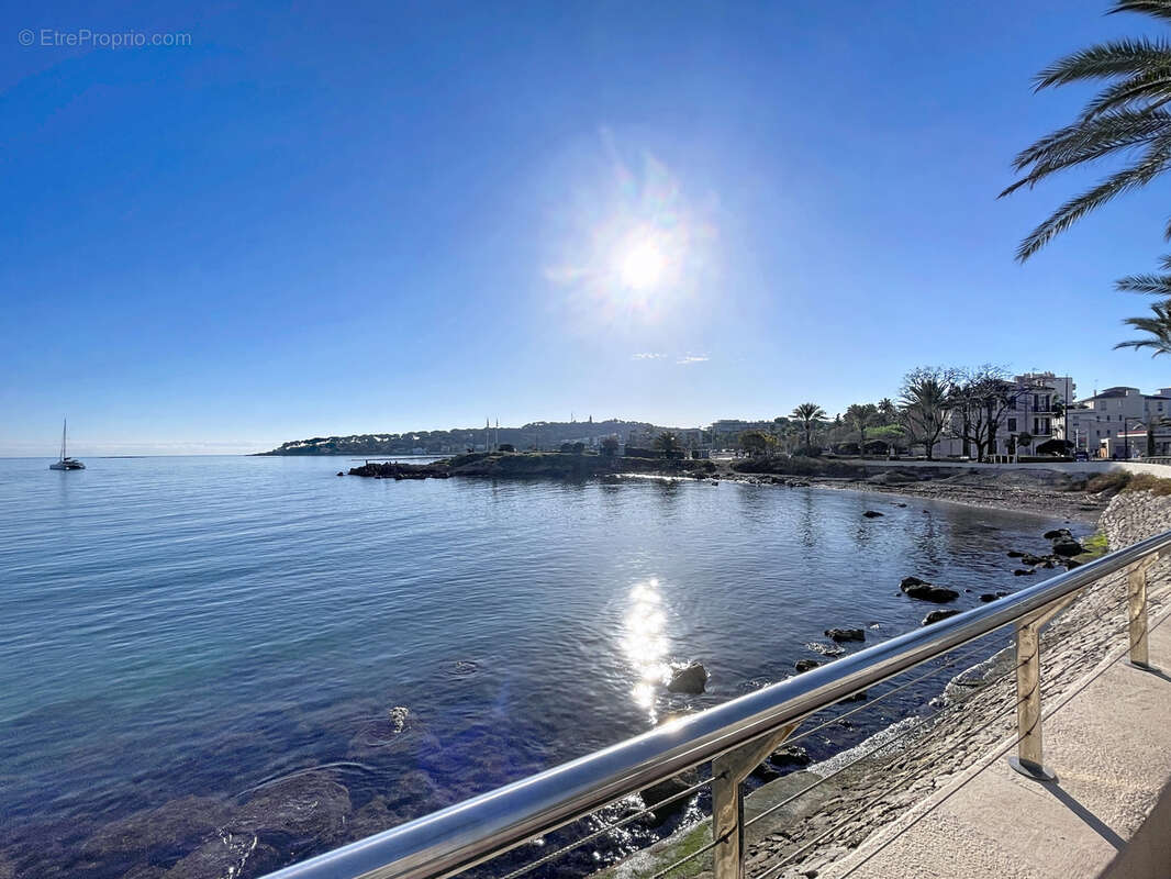 Commerce à ANTIBES
